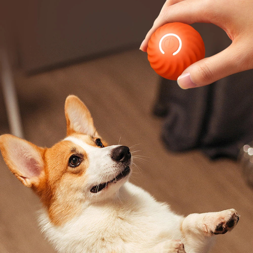 Smart Electric Dog Toy Ball – Interactive, Bouncing & USB Charging