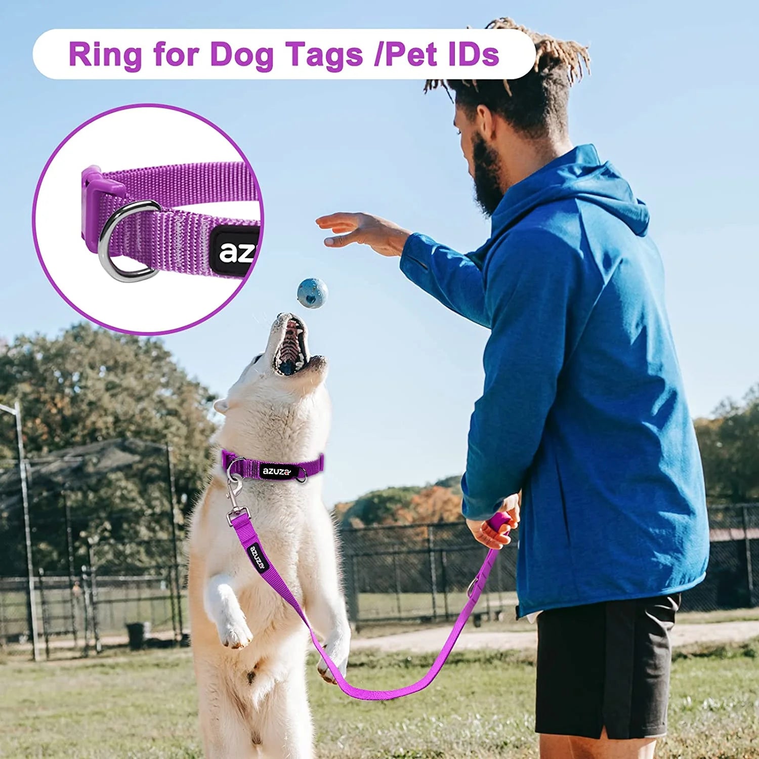 3-Pack Soft Dog Collars – Comfortable for All Dog Sizes