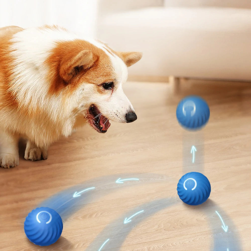 Smart Electric Dog Toy Ball – Interactive, Bouncing & USB Charging